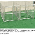 Large galvanized outdoor double dog kennel buildings